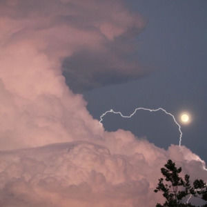 Meet your Posher, Dashawn